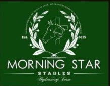 Morningstar Stables logo